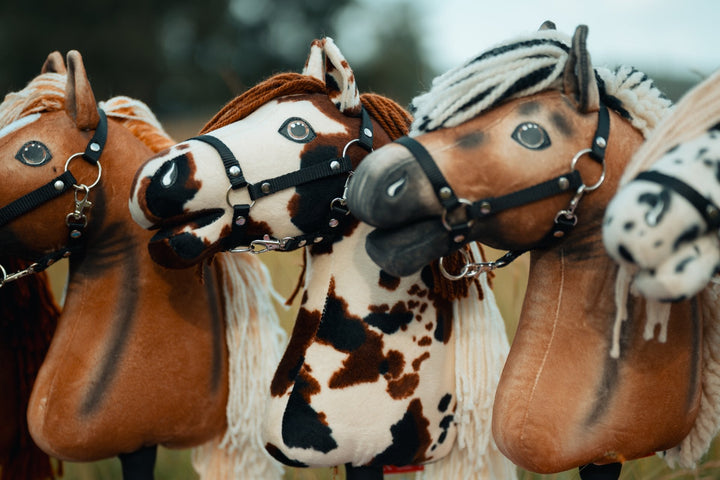 US Hobby Horse Championships 2026: Amerikas größtes Hobby Horse Event steht vor der Tür