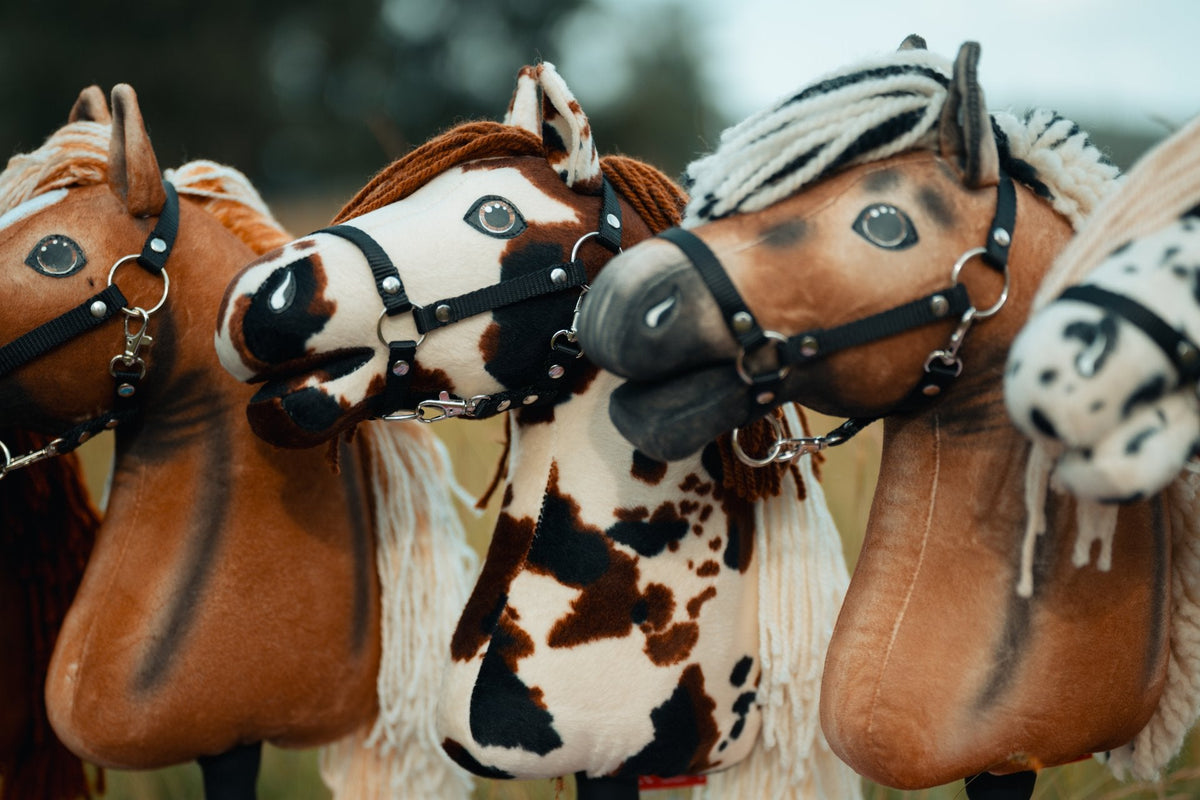 Hobby Horses wearing black halters at the US Hobby Horse Championships