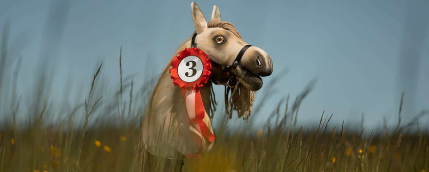 A Hobby Horse with a bridle and a red and white rosette labeled “3” stands in tall grass under a clear blue sky, capturing the spirit of hobby horsing.