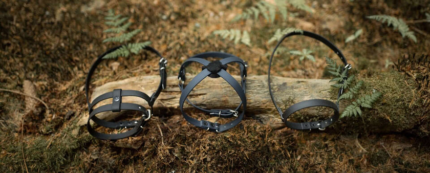 Three black leather harnesses for Hobby Horsing are displayed on a mossy forest floor with ferns, laid out across a horizontal tree branch.