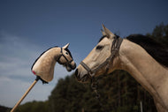Un vrai cheval avec un licol touche le nez d’un « Hobby Horse personnalisé d'après votre photo » beige de Hobby Horse LarDen en extérieur ; des arbres et un ciel bleu apparaissent en arrière-plan.