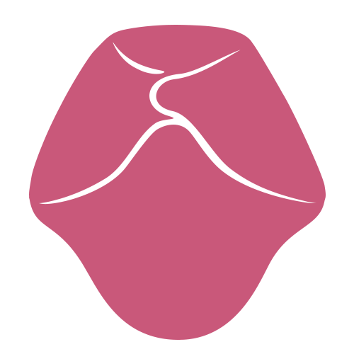 Illustration stylisée d'une langue humaine montrant trois lignes blanches en relief représentant les sillons médian et latéraux, sur fond rose.