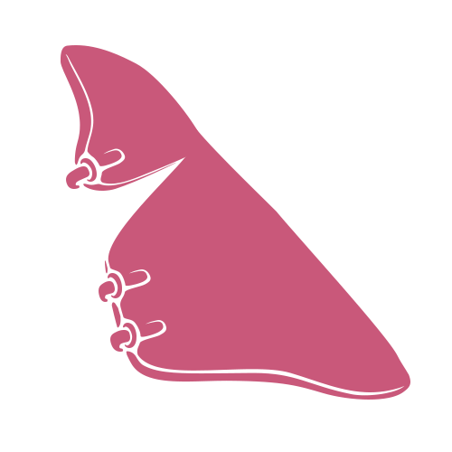 Minimalistische Illustration einer rosa Hand, die den Buchstaben B der American Sign Language formt, vor hellgrauem Hintergrund.