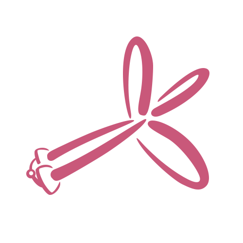Dessin simple au trait rose d'une libellule avec quatre ailes allongées et une petite tête, sur un fond gris clair.