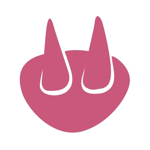 Einfache rosa Grafik einer ovalen Form mit zwei nach oben ragenden kegelförmigen Spitzen, die an abstrakte Hörner oder eine Tiernase erinnert, vor weißem Hintergrund.
