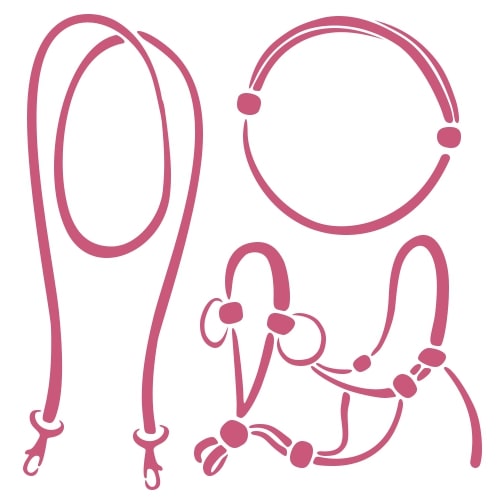 Dessins simples au trait rose d'une longe, d'une corde d'encolure, d'une bride side pull et d'un licol en corde, chacun présenté séparément sur fond blanc.