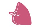 A simple pink illustration of a human lung with a visible bronchial tube on a white background.