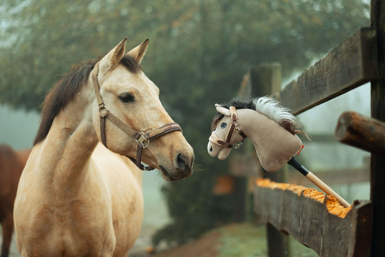 Ein hellbraunes Pferd mit Halfter blickt neugierig auf ein Hobby Horse, das draußen an einem Holzzaun lehnt. Im Hintergrund sind an einem nebligen Tag Bäume und ein weiteres Pferd zu sehen, was den verspielten Geist von Hobby Horsing vermittelt.