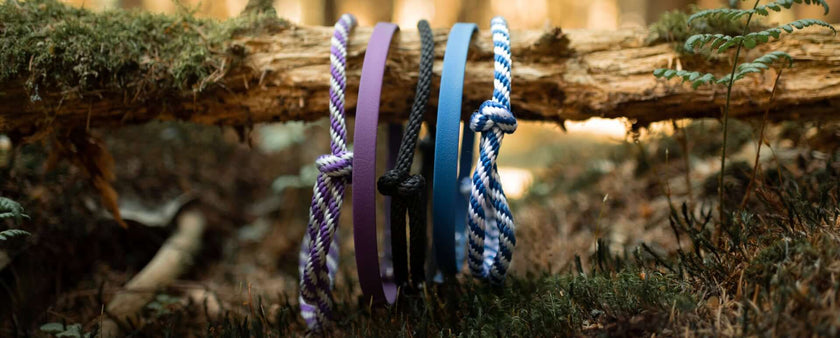Three dog leashes—purple, black, and blue with matching ropes—hang from a fallen log in a forest of moss and ferns, capturing the adventurous spirit often found in hobby horsing outings.