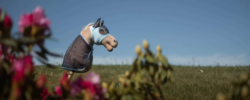 A Hobby Horse wearing a blue halter stands upright in a grassy field, with colorful flowers blurred in the foreground and a clear blue sky in the background—a delightful scene for any hobby horsing enthusiast.