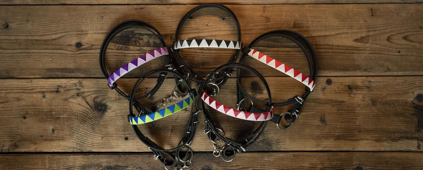 Five dog collars with black leashes arranged in a circle on a wooden surface, each collar featuring a row of colored triangles: purple, blue, black, white, and red—perfect for hobby horsing or showcasing your love for the hobby horse community.