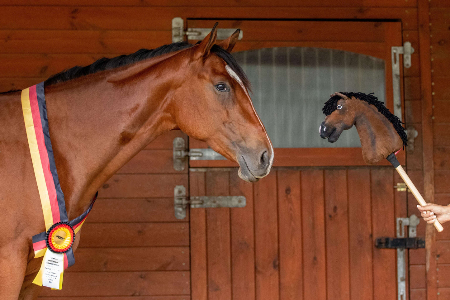 Un cheval marron avec un ruban de vainqueur regarde un jouet « Hobby Horse personnalisé d'après votre photo » de Hobby Horse LarDen, tenu par une personne, devant une porte d’écurie en bois.