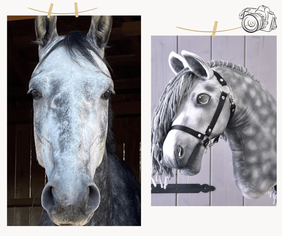 Hobby Horse personnalisé d'après votre photo