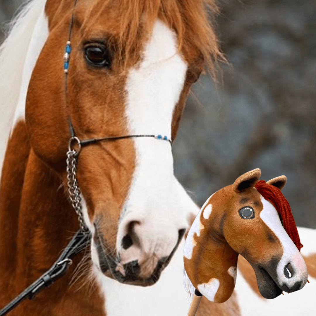 Hobby Horse personnalisé d'après votre photo