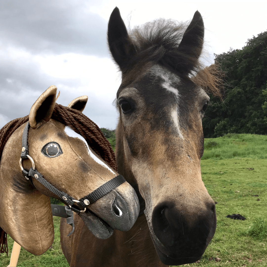 Un vrai cheval marron se tient à côté d’un « Hobby Horse personnalisé d'après votre photo » de Hobby Horse LarDen, tous deux face à l’appareil dans un champ herbeux sous un ciel nuageux.