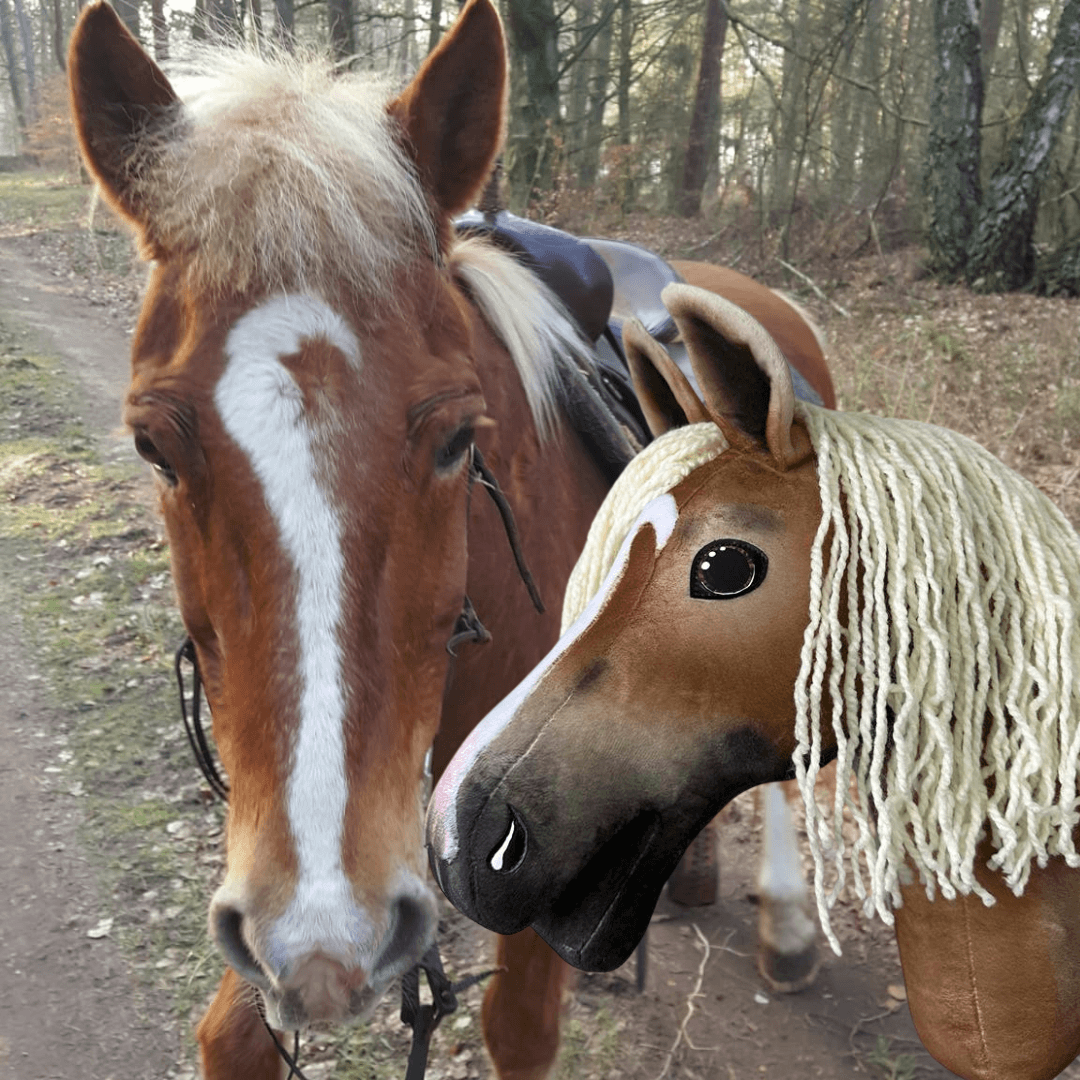 Un cheval marron avec une liste blanche se tient sur un chemin forestier à côté d’un « Hobby Horse personnalisé d'après votre photo » fait sur mesure de Hobby Horse LarDen, avec des couleurs assorties et une crinière en fil. Des arbres et un chemin de terre apparaissent en arrière-plan.