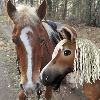 Hobby Horse personnalisé d'après votre photo