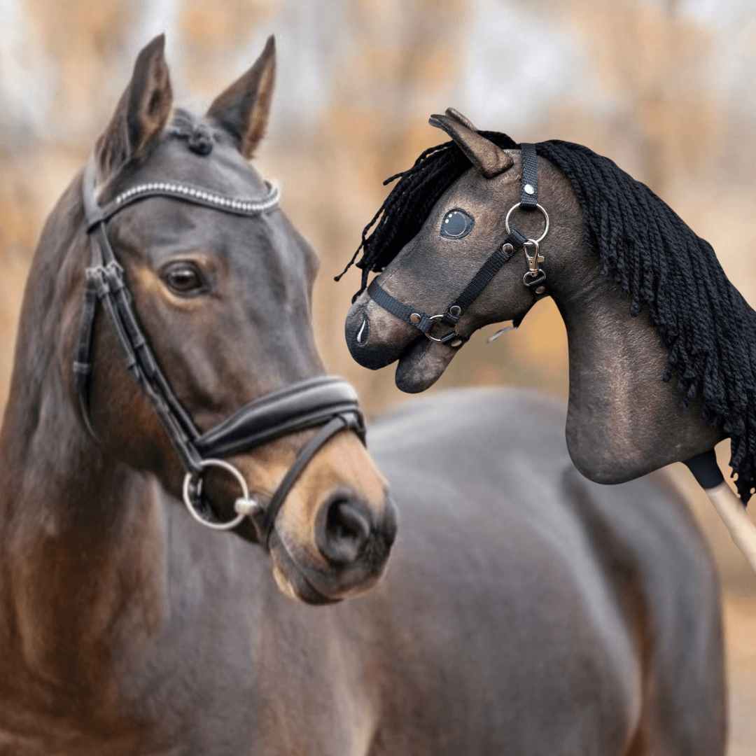 Hobby Horse personnalisé d'après votre photo de Hobby Horse LarDen à côté d'un vrai cheval brun avec une bride, avec une crinière noire en fil et des yeux en bouton, les deux se faisant face en extérieur.