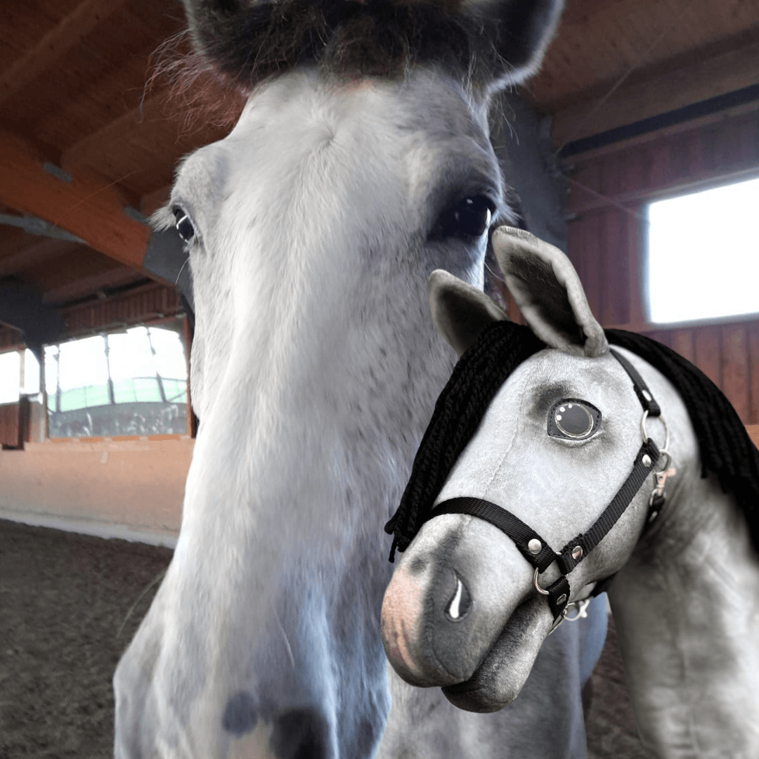 Hobby Horse personnalisé d'après votre photo