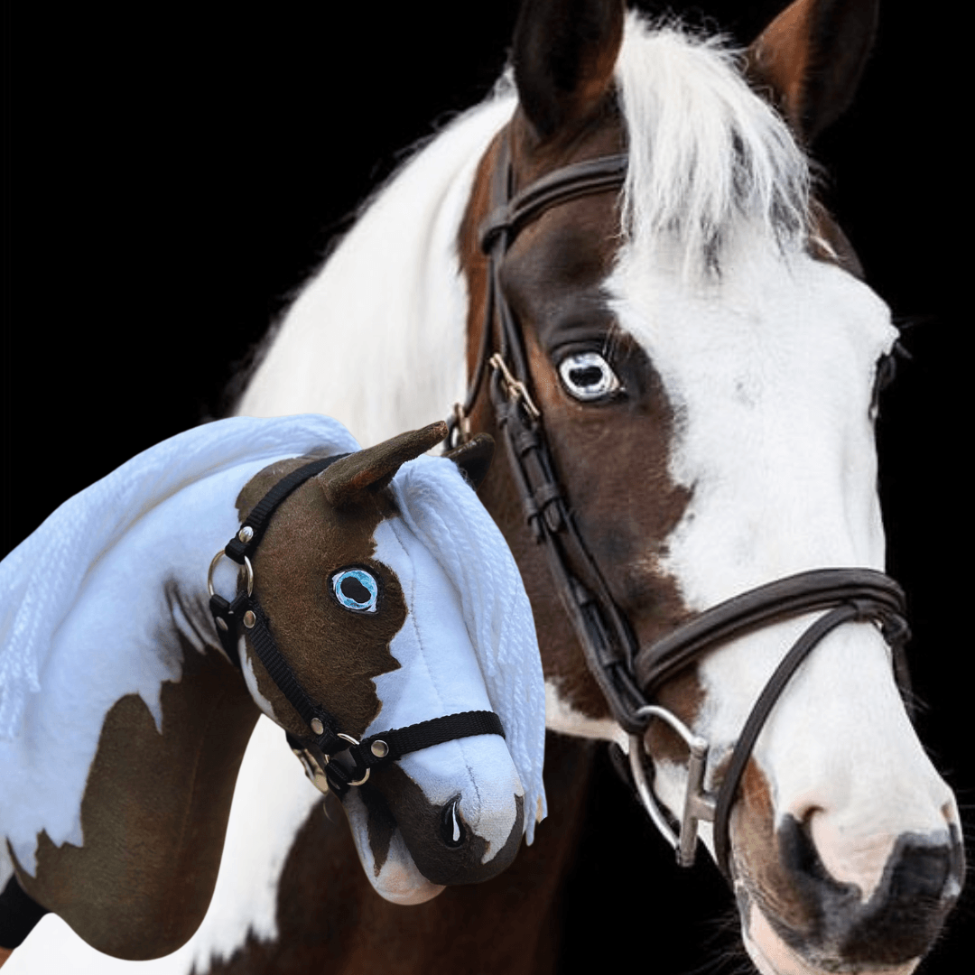 Hobby Horse personnalisé d'après votre photo