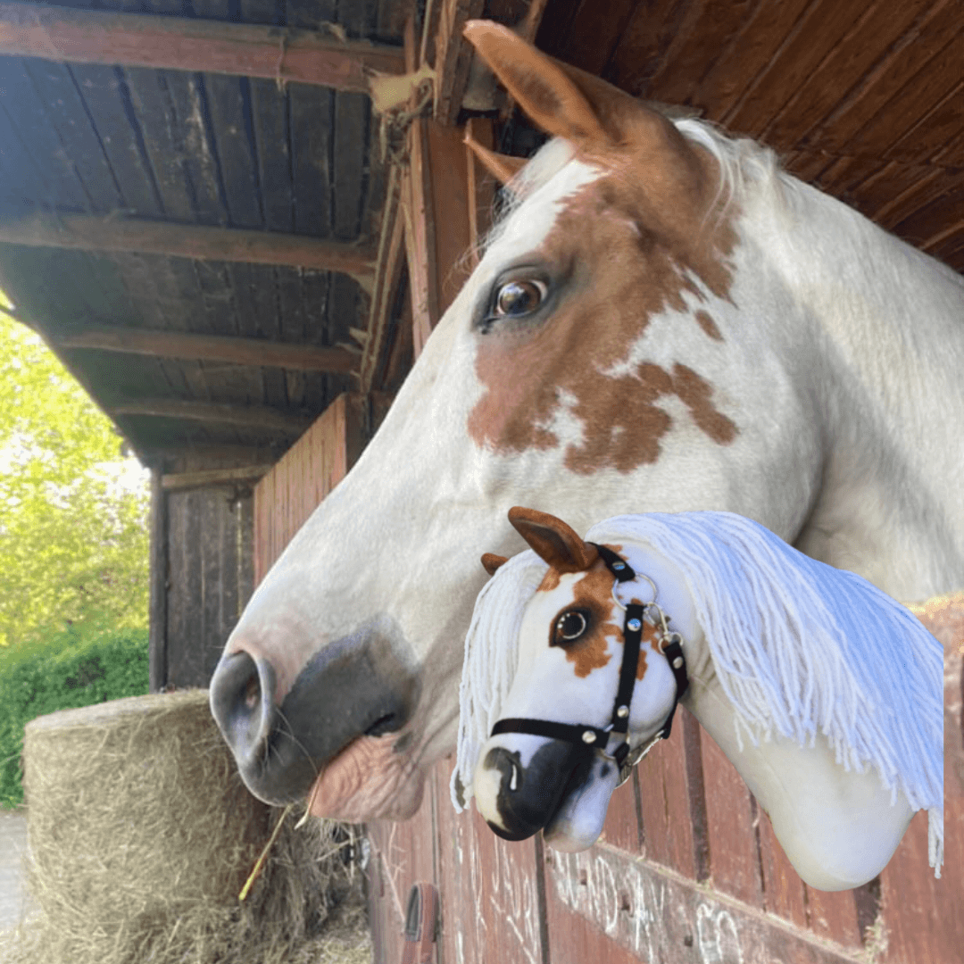 Un cheval blanc et marron à la crinière tressée regarde depuis une écurie en bois. Devant lui se trouve un « Hobby Horse personnalisé d'après votre photo » de Hobby Horse LarDen qui ressemble étroitement au vrai cheval.
