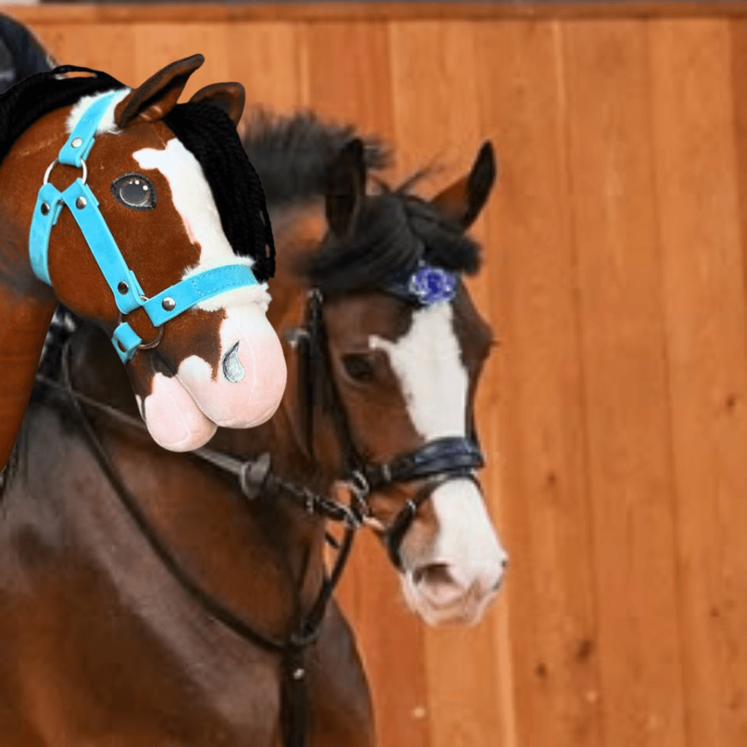 Deux jouets « Hobby Horse personnalisé d'après votre photo » de Hobby Horse LarDen, marron et blanc, avec brides bleue et noire et crinières noires, se tiennent en intérieur près d’un mur en bois. L’un est personnalisé avec une fleur bleue dans la crinière.