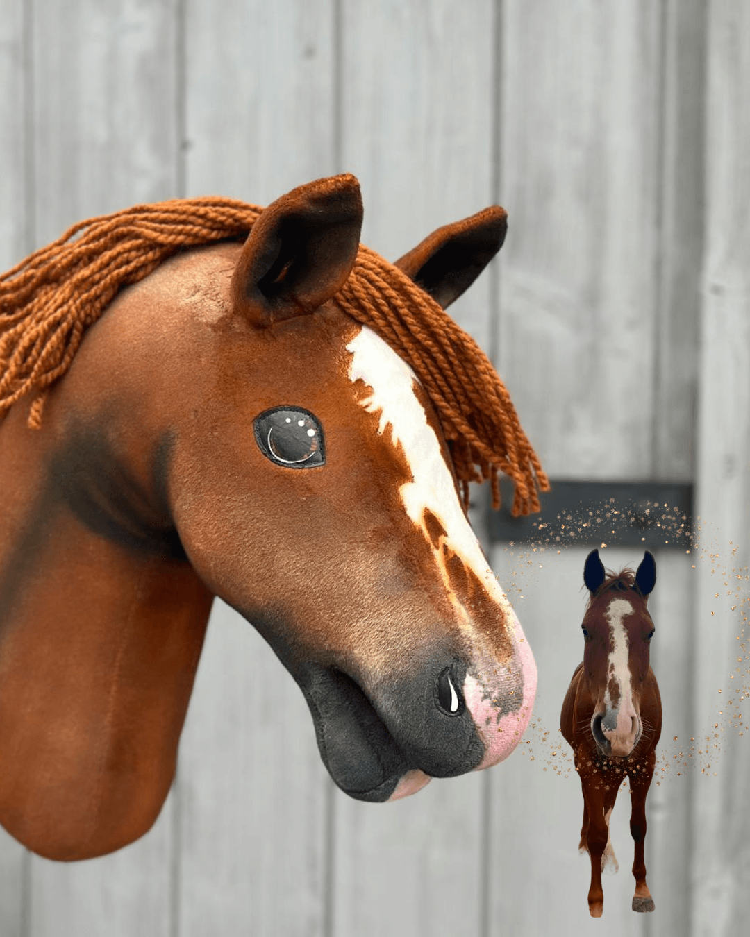Hobby Horse personnalisé d'après votre photo de Hobby Horse LarDen au premier plan, personnalisé pour correspondre à un vrai cheval visible sur une petite photo en arrière-plan, le tout devant un mur en bois.