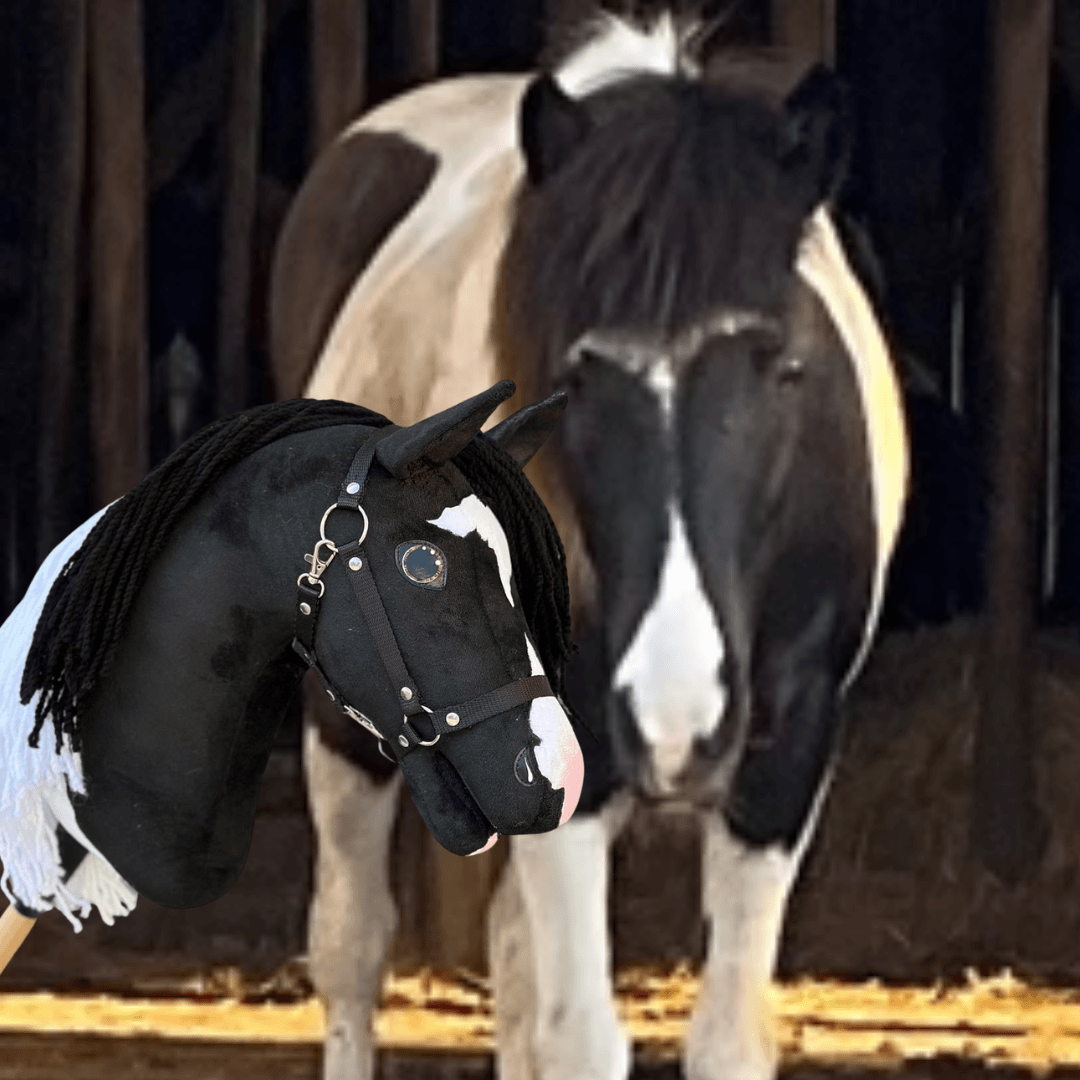Hobby Horse personnalisé d'après votre photo