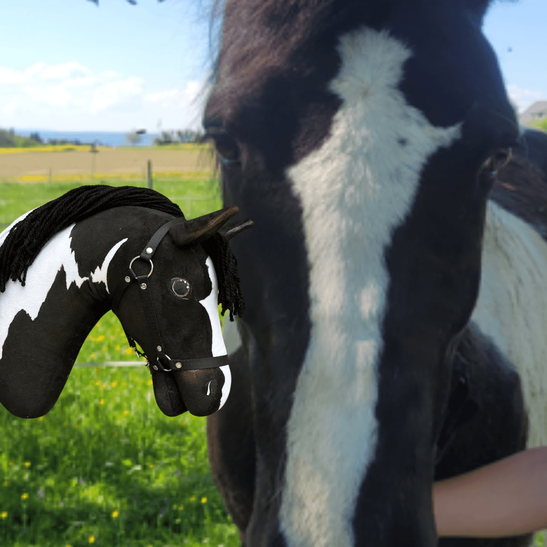 Gros plan sur un cheval noir et blanc avec un « Hobby Horse personnalisé d'après votre photo » de Hobby Horse LarDen au premier plan, tous deux en extérieur dans un champ herbeux sous un ciel bleu.