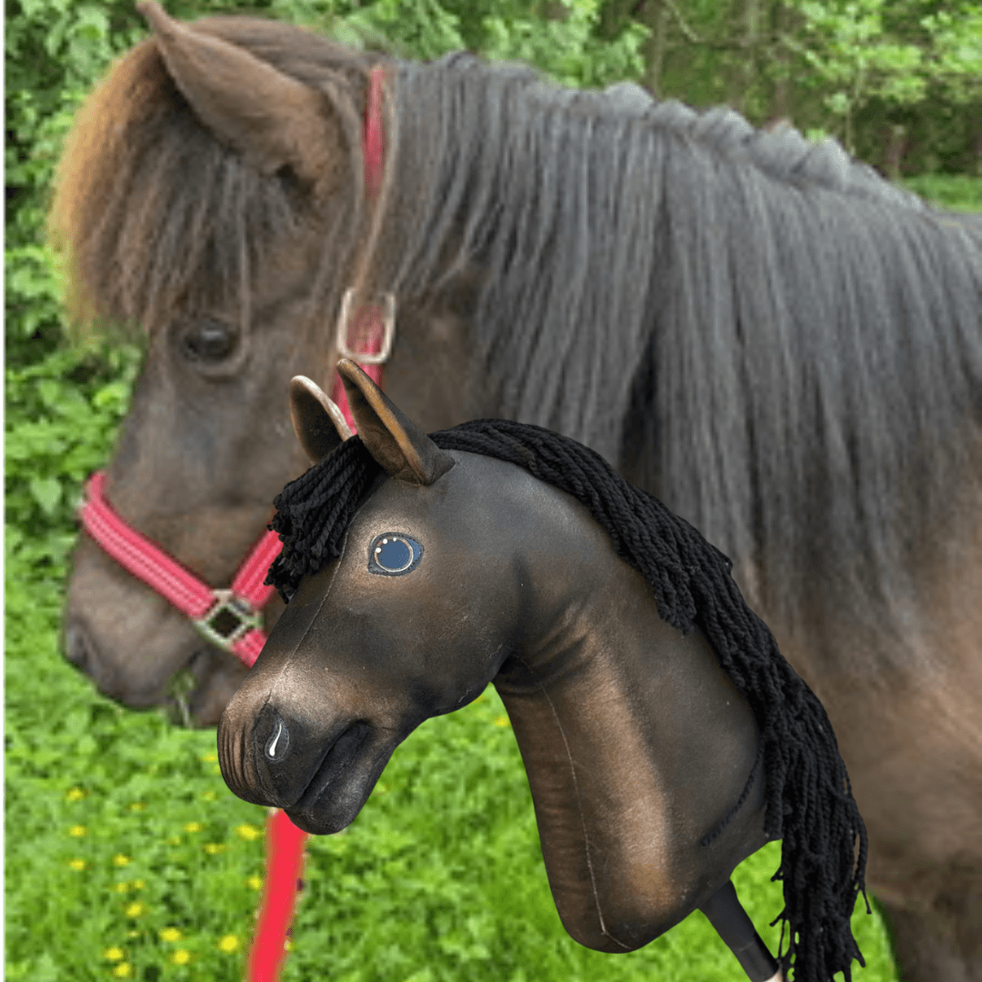 Hobby Horse personnalisé d'après votre photo