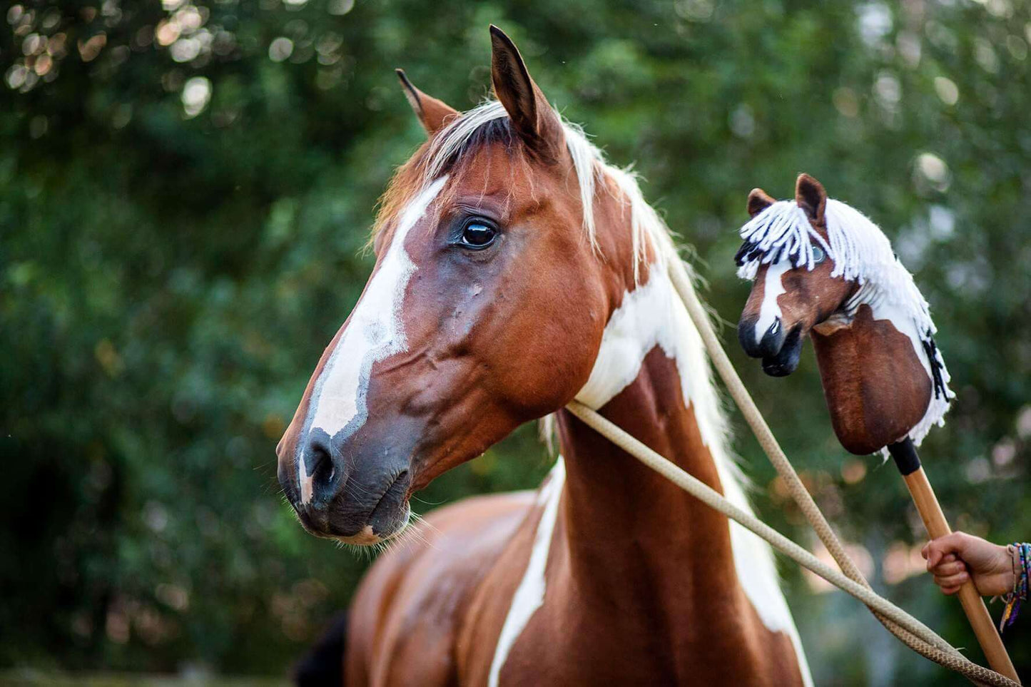 Une personne tient un « Hobby Horse personnalisé d'après votre photo » de Hobby Horse LarDen à côté d’un cheval marron et blanc avec licol en corde. Tous deux se tiennent devant un feuillage vert flou. Le Hobby Horse personnalisé ressemble étroitement au vrai cheval.