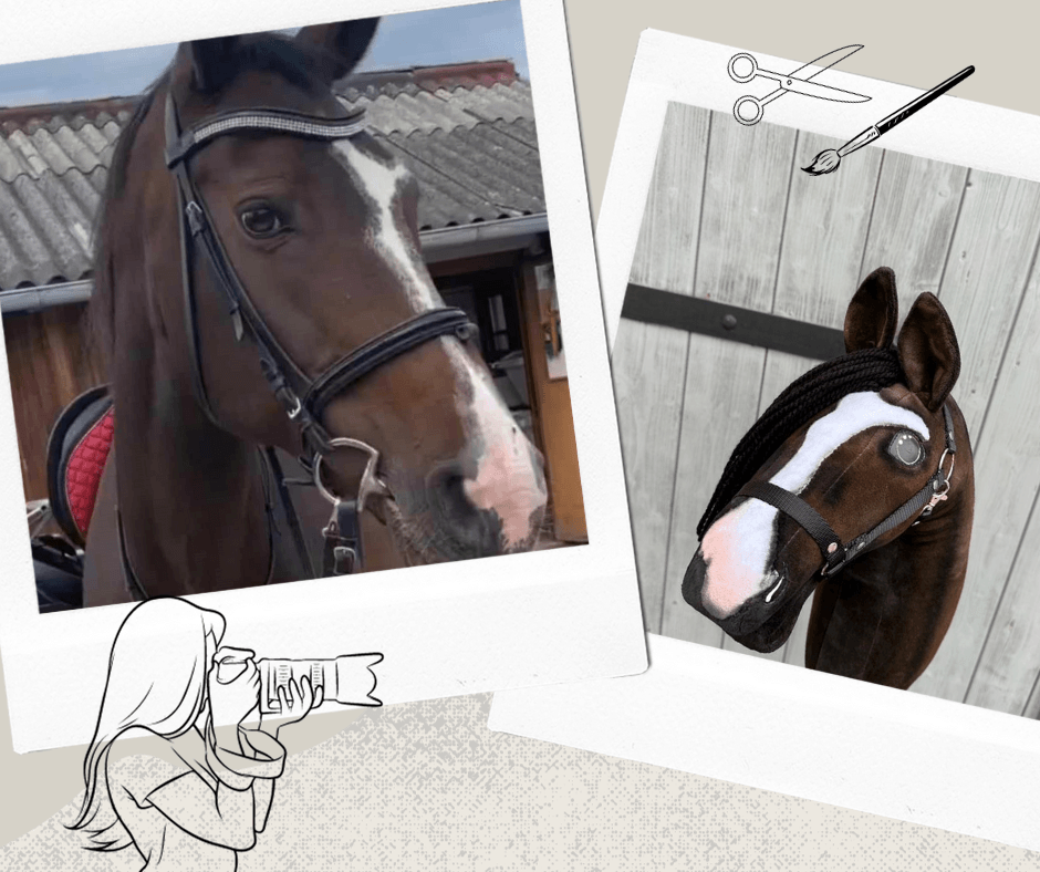 Hobby Horse personnalisé d'après votre photo