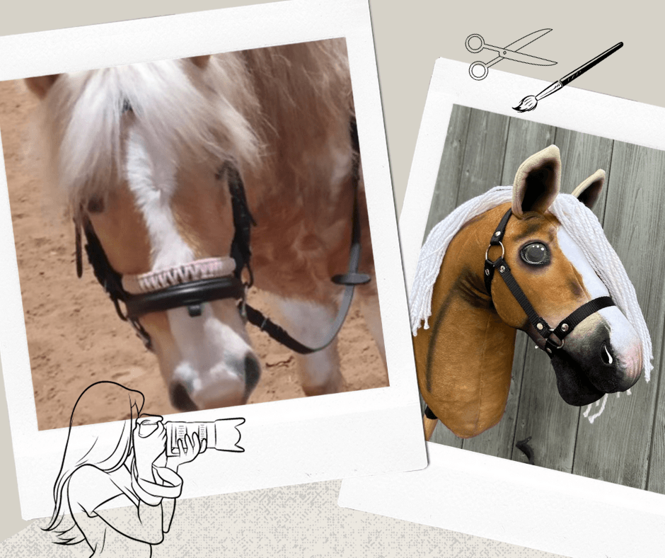 Hobby Horse personnalisé d'après votre photo