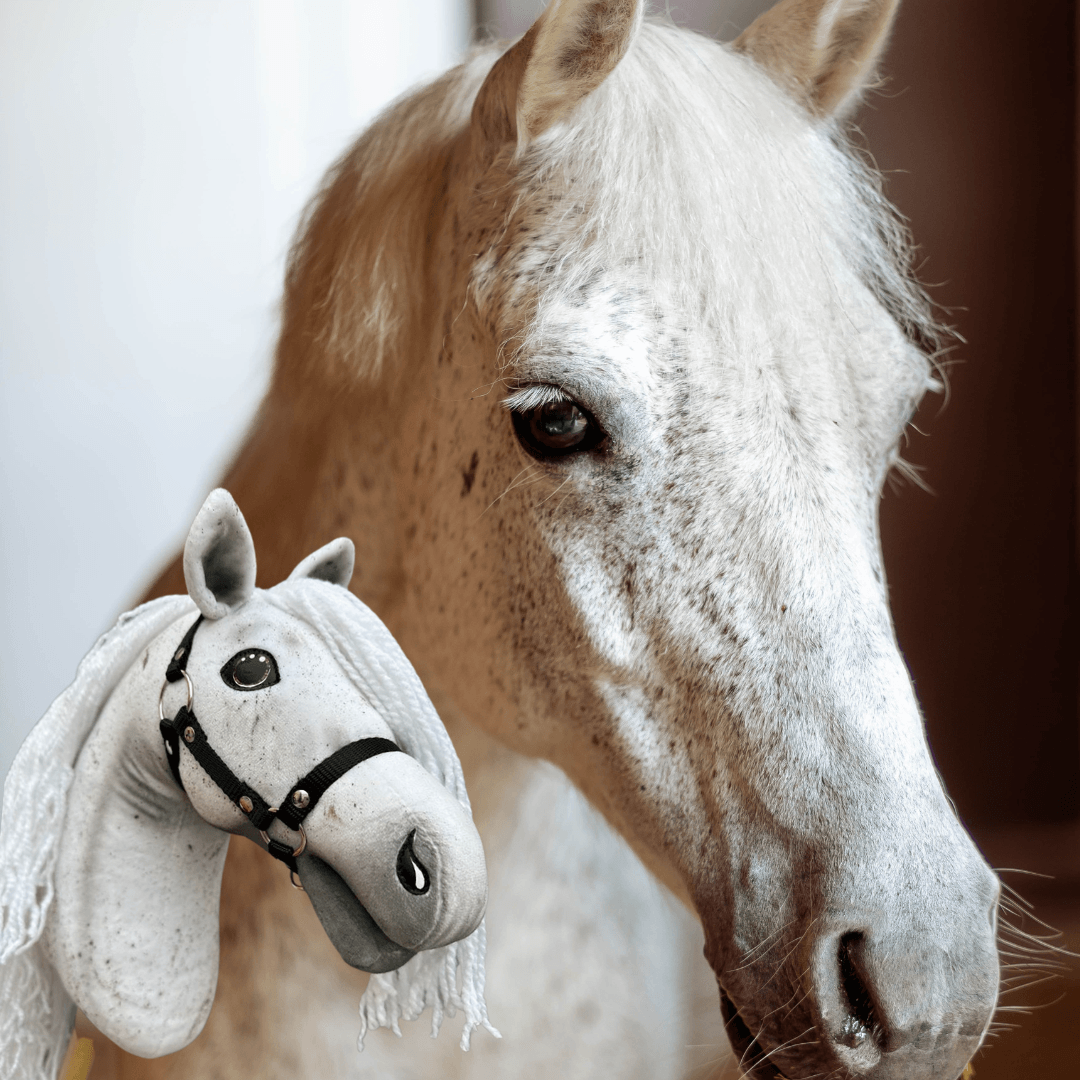 Hobby Horse personnalisé d'après votre photo