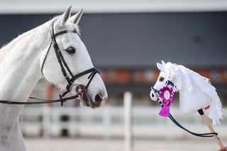 Hobby Horse personnalisé d'après votre photo
