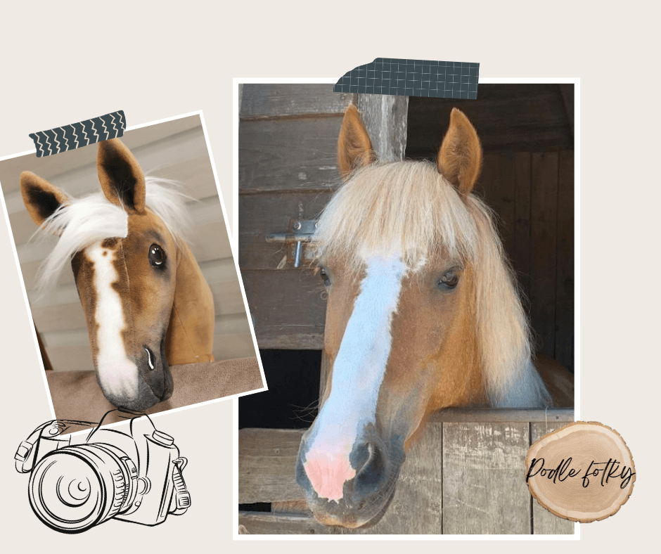 Deux photos d’un cheval palomino à crinière blanche, avec du ruban décoratif, un dessin d’appareil photo et le texte « Pony Fotly », forment ce collage, idéal comme inspiration pour créer votre « Hobby Horse personnalisé d'après votre photo » de Hobby Horse LarDen.