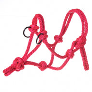 Das Seilhalfter Rot von Hobby Horse LarDen hat mehrere Knoten und zwei schwarze Metallringe und ist damit perfekt für ein Hobby Horse. Präsentiert vor weißem Hintergrund.