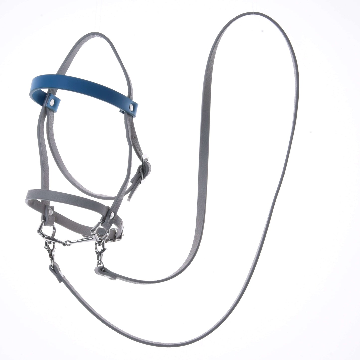 Ensemble similicuir Aqua - bride, rênes et martingale de Hobby Horse LarDen, comprenant une bride, des rênes et une martingale, présenté sur fond blanc, idéal pour les hobby horses et ajout parfait à tout ensemble de bride.