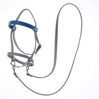 Ensemble similicuir Aqua - bride, rênes et martingale