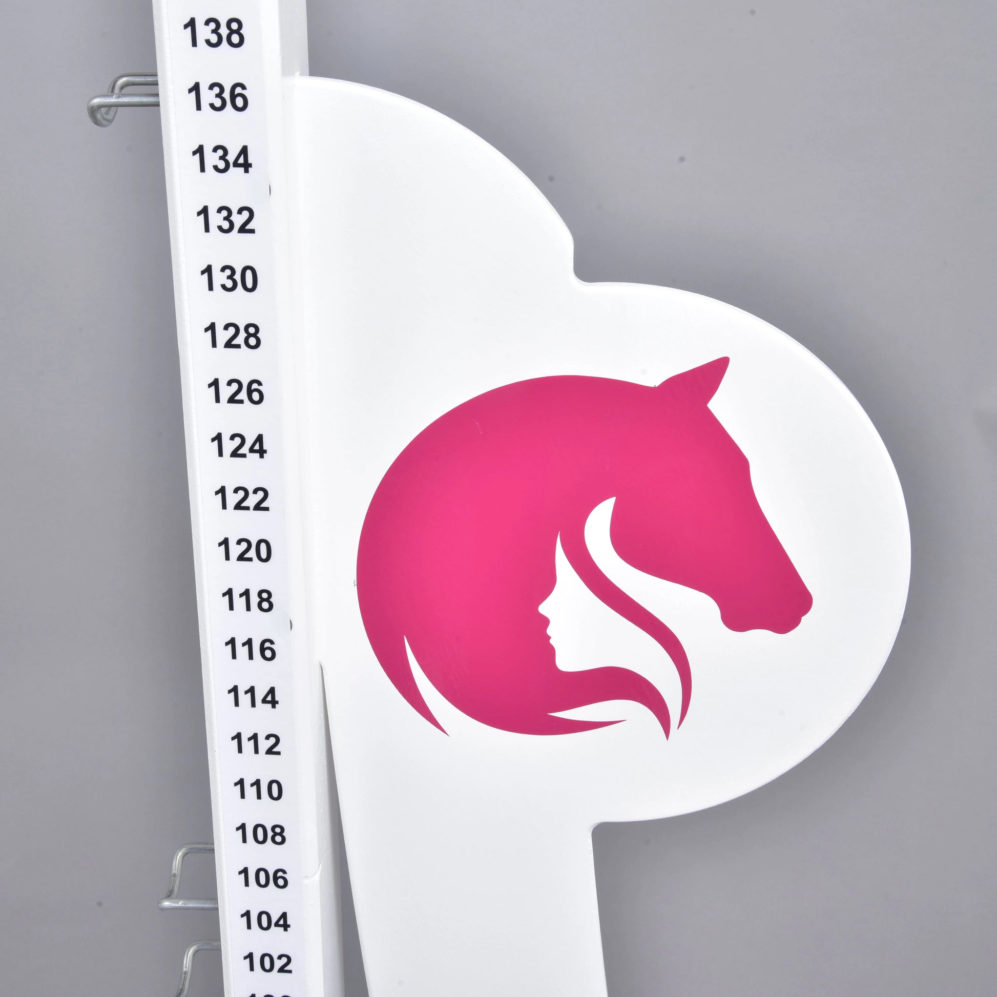Saut de puissance LarDen Hobby Horse