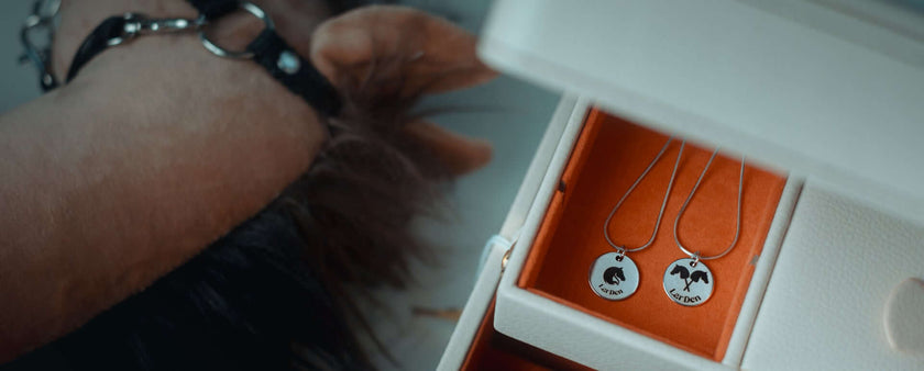 A close-up of two silver necklaces with matching winged pendants in an orange-lined jewelry box, each engraved with a stylized Hobby Horse figure and text. In the background, a blurred dog wearing a collar is visible.