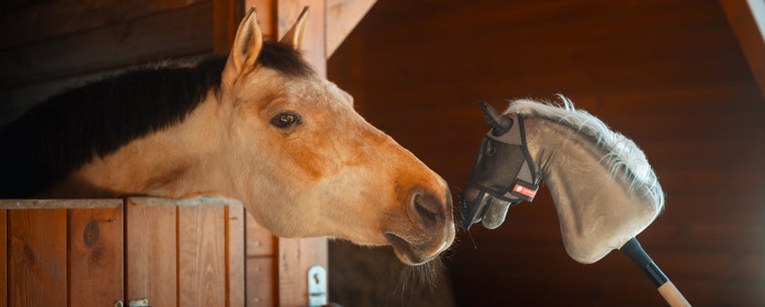 A real horse pokes its head out of a wooden stable door, touching noses with a hobby horse on a stick in a warmly lit barn—a delightful nod to the playful world of hobby horsing.
