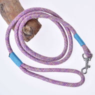 The Hobby Horse LarDen "Hobby Horse - Lead rope Bubble," a purple and pink lead rope with blue accents and a metal clip, is coiled on a light wooden branch and displayed on a white background.