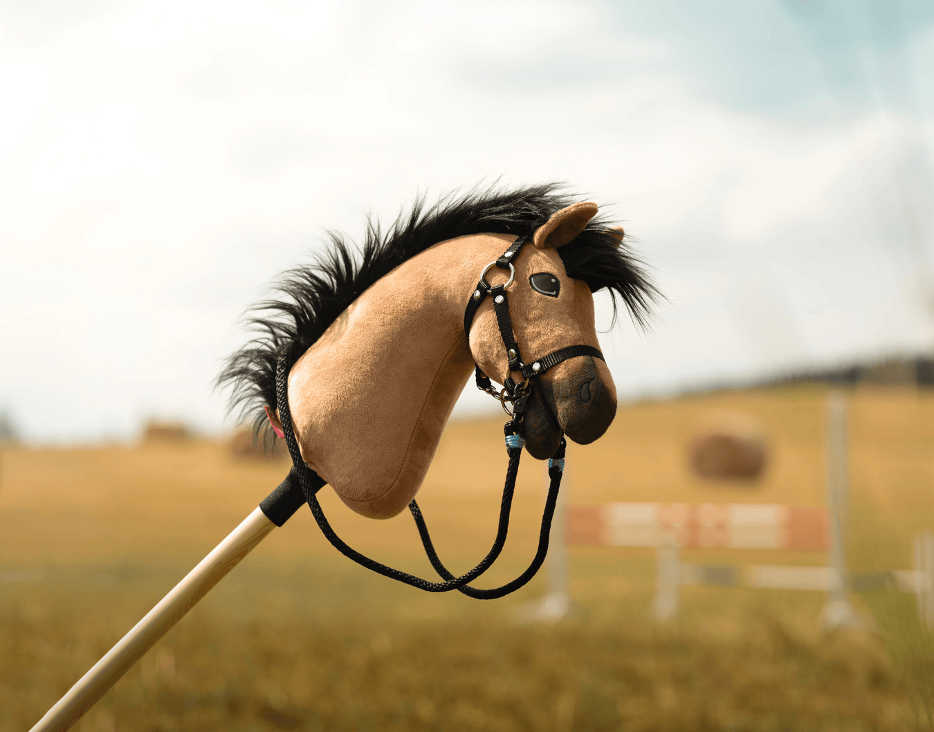 Nahaufnahme eines Hobby Horsing-Spielzeugs: ein Hobby Horse mit beigefarbenem Gesicht, schwarzer Mähne und Zaumzeug, auf einem Holzstab montiert, draußen in einem unscharfen Feld mit Heuballen und einer Bank im Hintergrund.