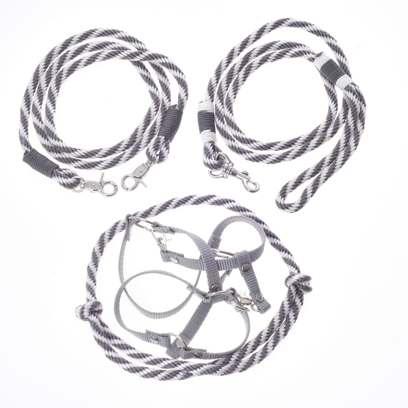 Set Start Silver (halter + cordeo + lead rope + reins)