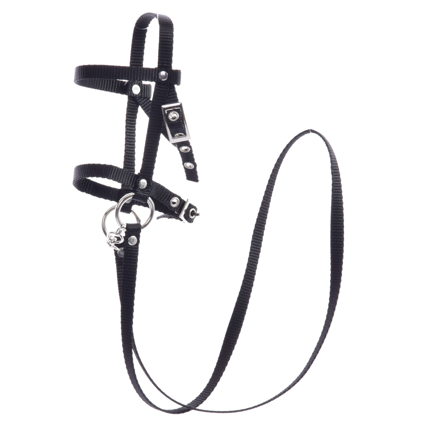 Hobby Horse LarDen Schwarzes Zaumzeug mit Zügel aus Gurtband, für kleine Tiere konzipiert, mit verstellbaren Riemen, Metallschnallen und Ringen. Ideal als Zaumzeug für Hobby Horse, dieses Set enthält Zügel und ist vor weißem Hintergrund abgebildet.