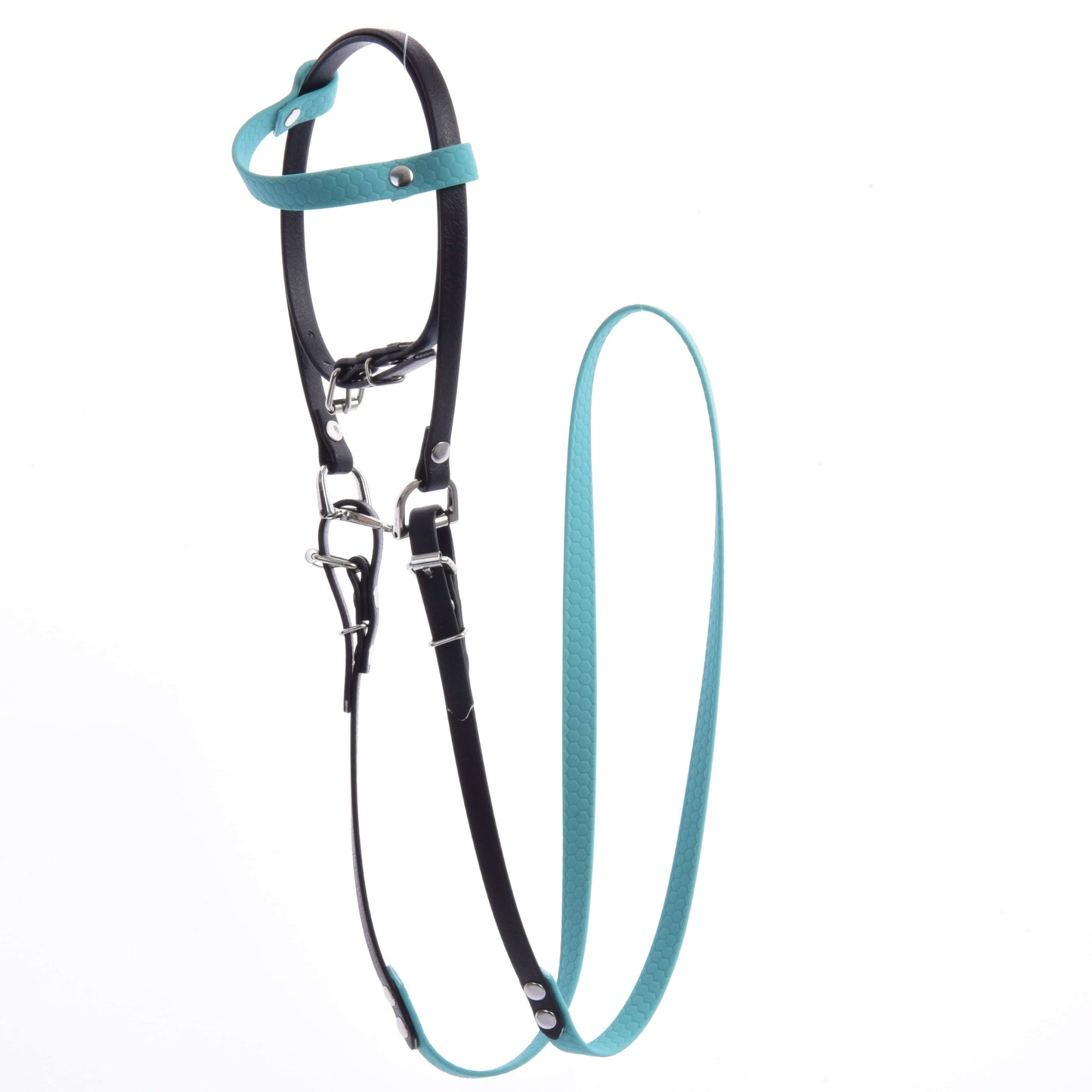 Das Hobby Horse LarDen "Komplettes Zaumzeug ohne Nasenriemen Türkis" ist ein schwarz-türkises Halfter für Hobby Horse aus Kunstleder mit Metallbeschlägen und passendem türkisem Führstrick, vor weißem Hintergrund gezeigt.