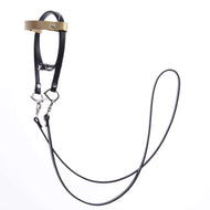 The Hobby Horse LarDen Complete Leatherette Bridle in black with a gold headband features metal buckles, rings, and a looped rein on both sides. Shown isolated on a white background.