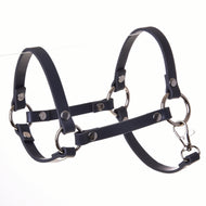 Licol - simili cuir gris foncé (taille S)