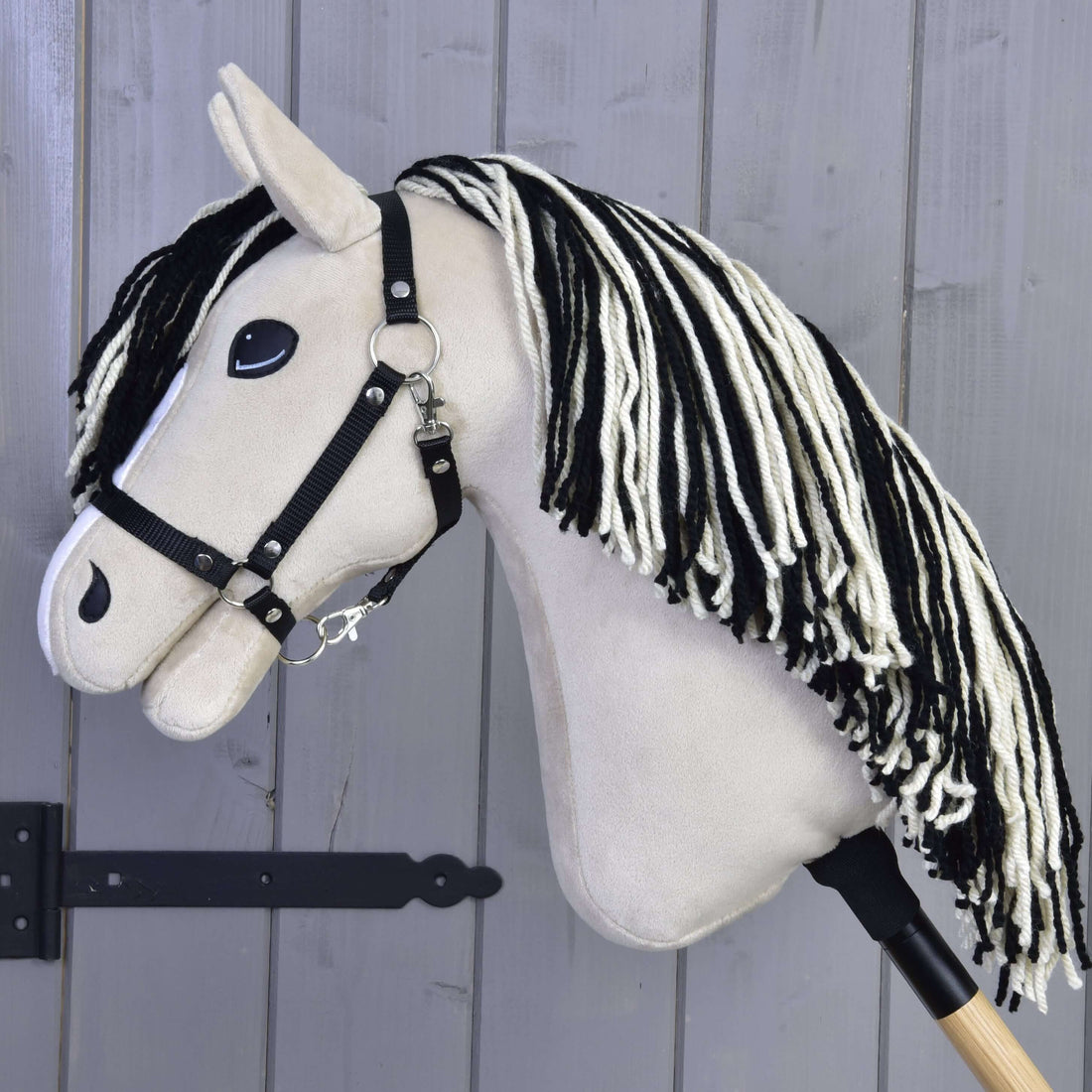 Hobby Horse Aurora with Black Halter